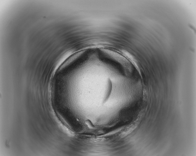 X0000095880859200801251139