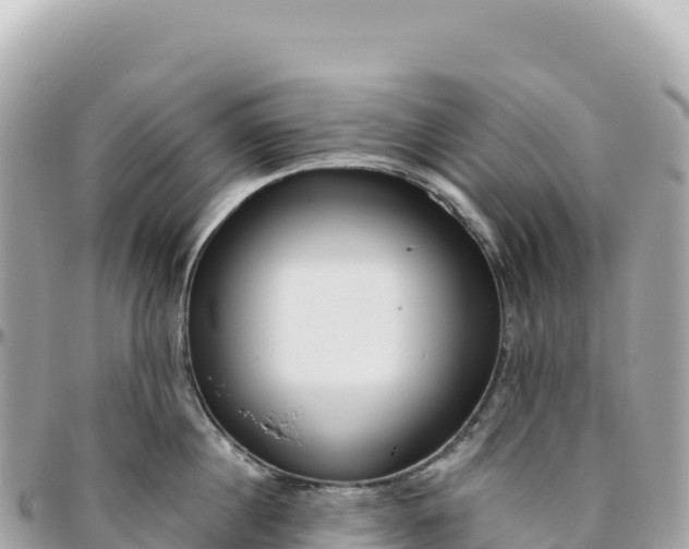 X0000095880860200801251139