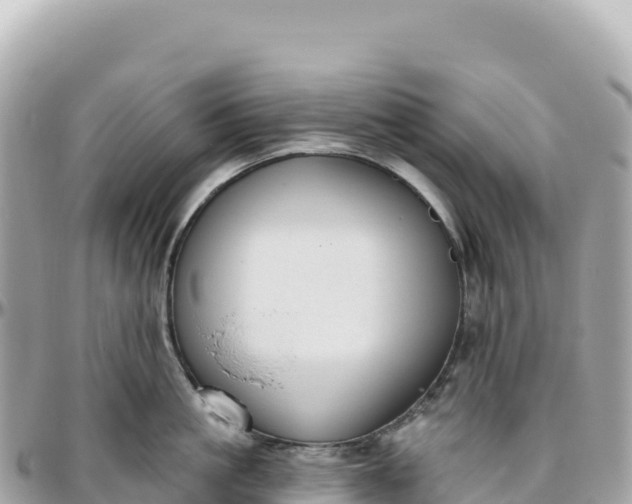 X0000095880861200801251139