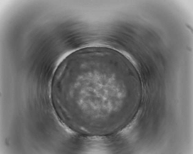 X0000095880862200801251139