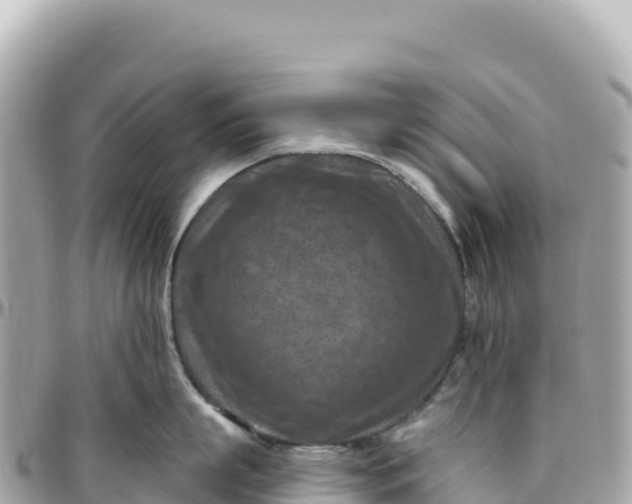 X0000095880863200801251139