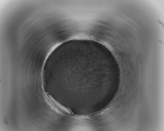 X0000095880864200801251139