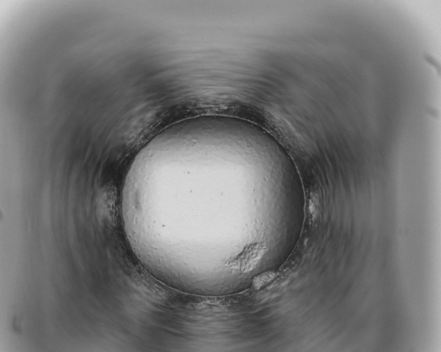 X0000095880867200801251138