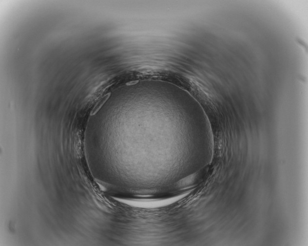 X0000095880868200801251138