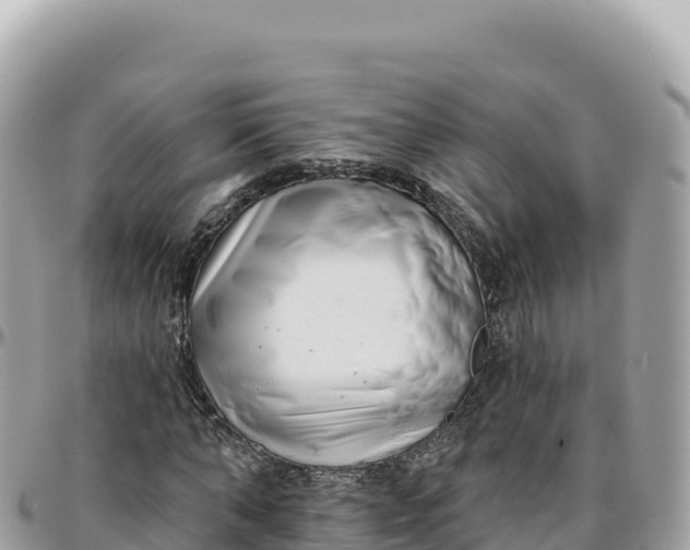 X0000095880870200801251138