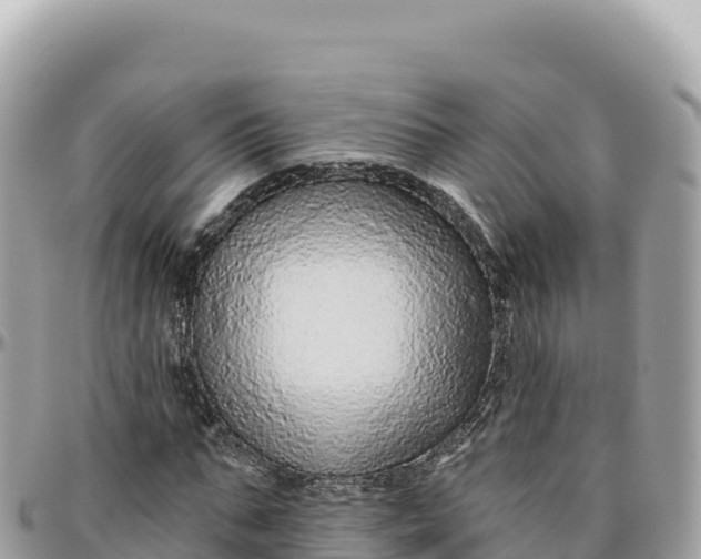 X0000095880871200801251138