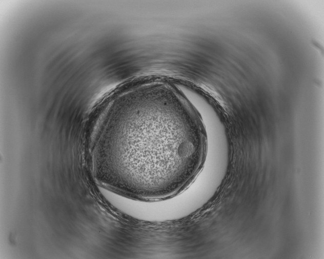 X0000095880872200801251138