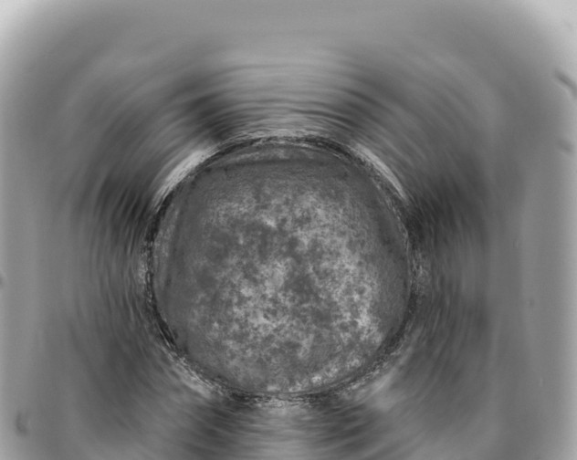 X0000095880874200801251138