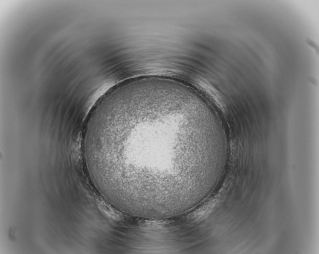 X0000095880875200801251138