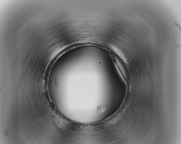 X0000095880876200801251138