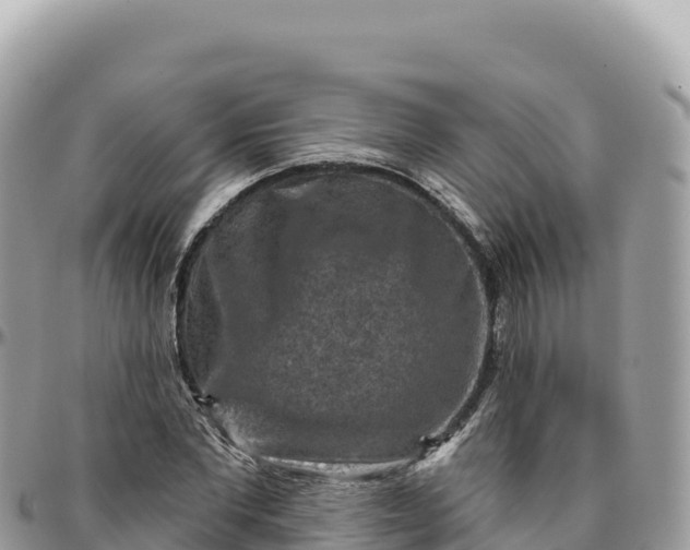 X0000095880877200801251138