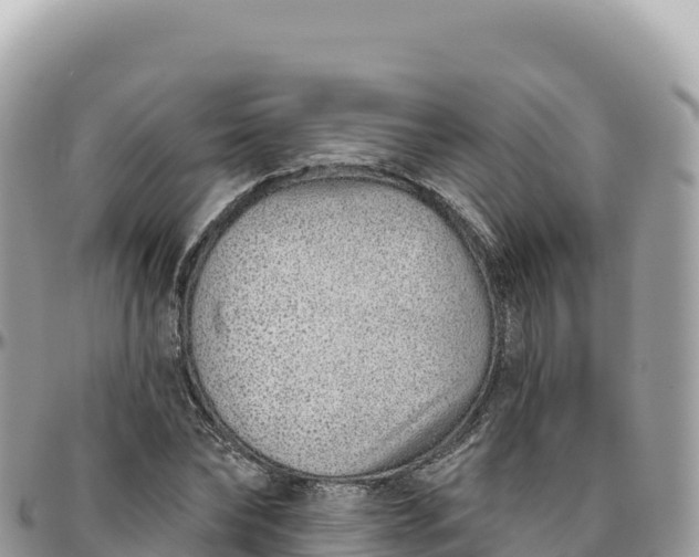 X0000095880878200801251138