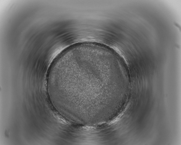 X0000095880879200801251138