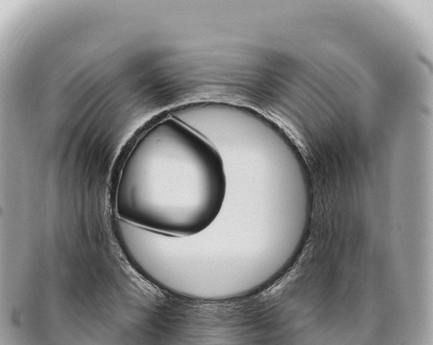 X0000095880880200801251138