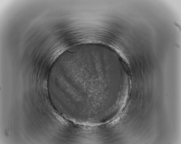 X0000095880881200801251138