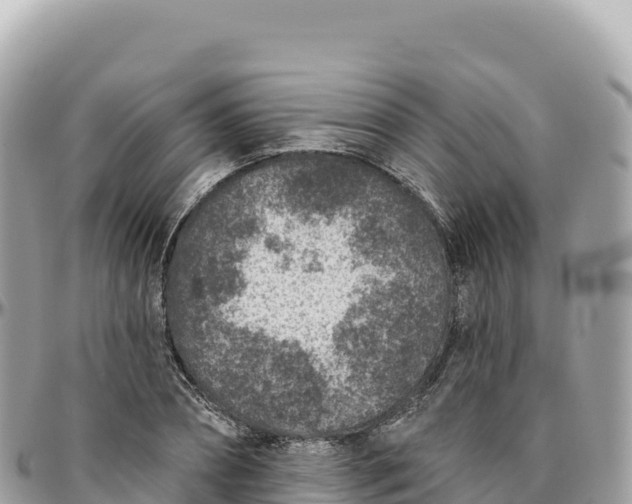 X0000095880882200801251138