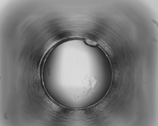 X0000095880884200801251138