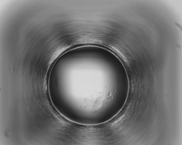 X0000095880885200801251138