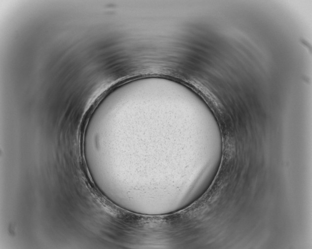 X0000095880886200801251138