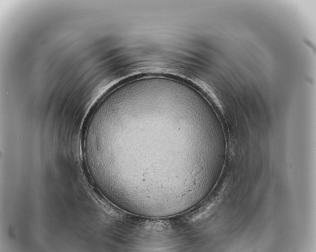 X0000095880887200801251138