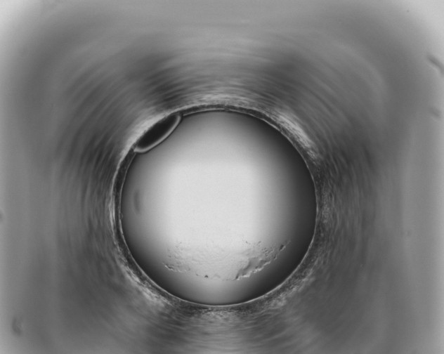 X0000095880888200801251138