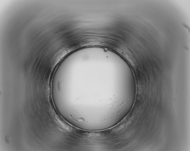 X0000095880890200801251138