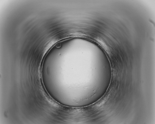 X0000095880891200801251138