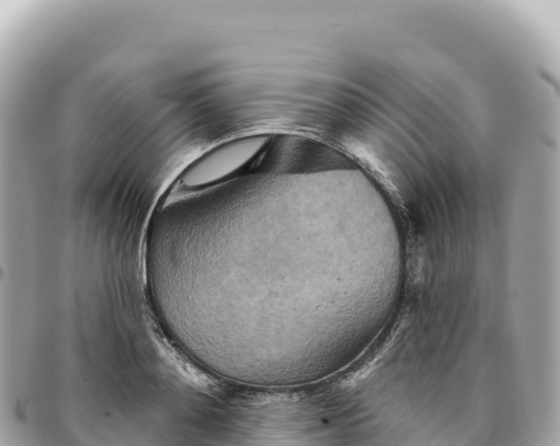 X0000095880892200801251138