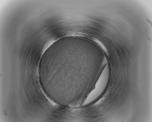 X0000095880893200801251138