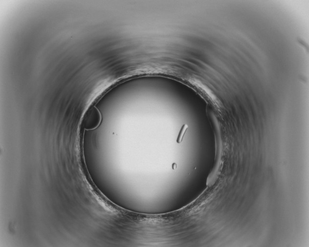 X0000095880894200801251138