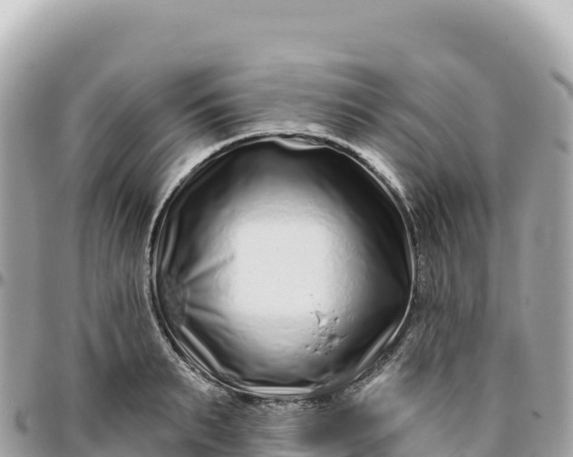 X0000095880895200801251138