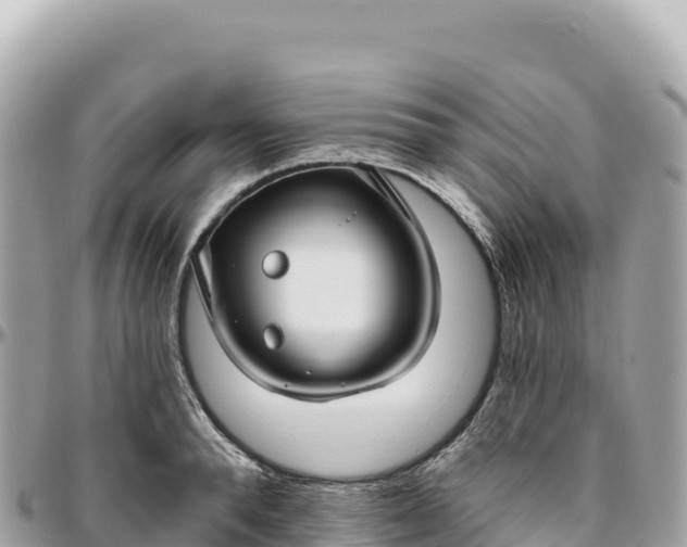 X0000095880896200801251138