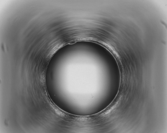 X0000095880897200801251138