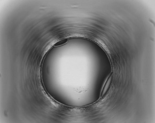 X0000095880898200801251138