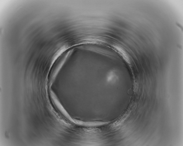 X0000095880899200801251137