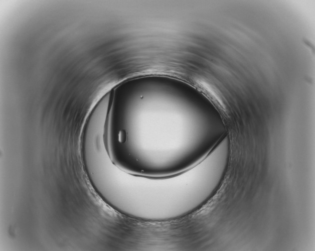 X0000095880900200801251137