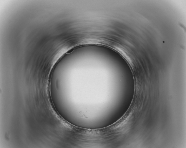 X0000095880901200801251137