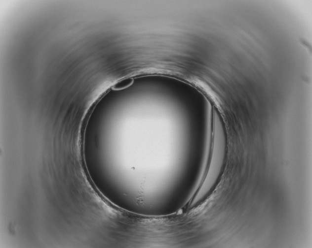 X0000095880902200801251137