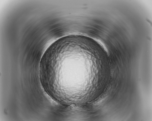 X0000095880903200801251137