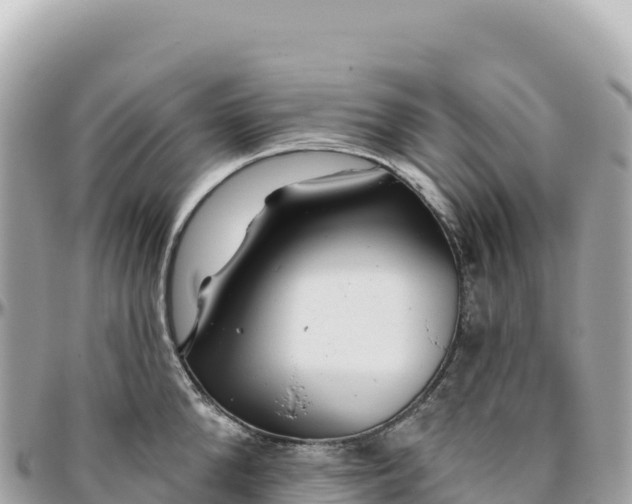 X0000095880904200801251137