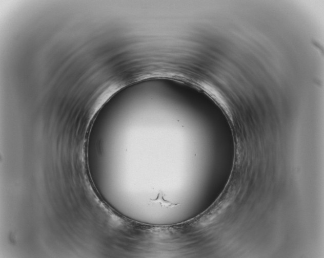 X0000095880906200801251137