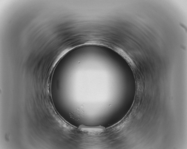 X0000095880908200801251137