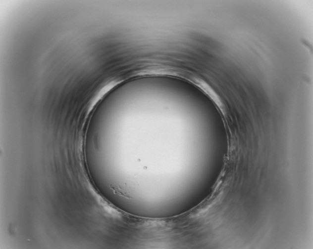 X0000095880909200801251137