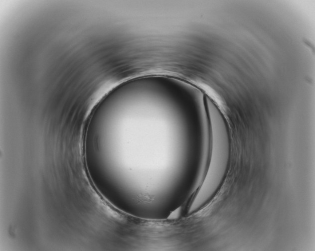 X0000095880910200801251137