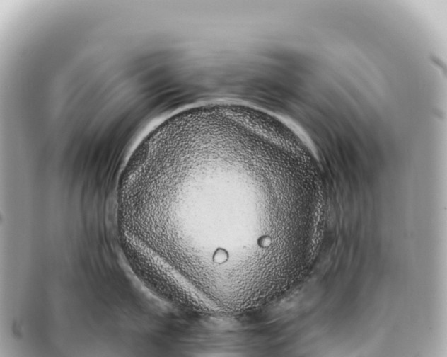 X0000095880911200801251137