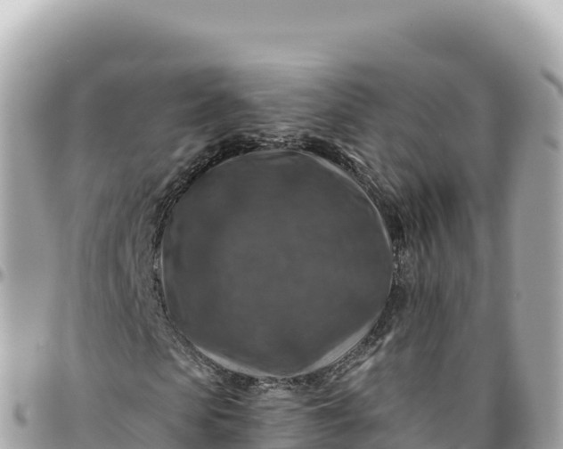 X0000095880913200801251137