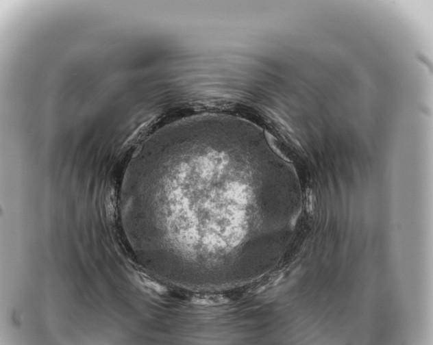 X0000095880915200801251137