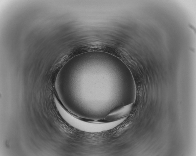 X0000095880916200801251137