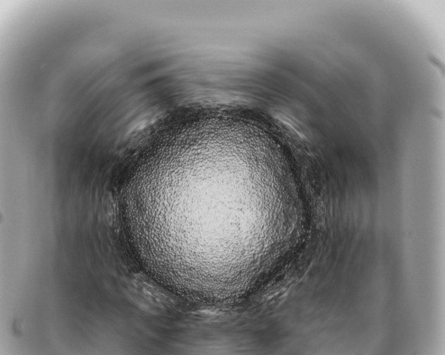 X0000095880917200801251137