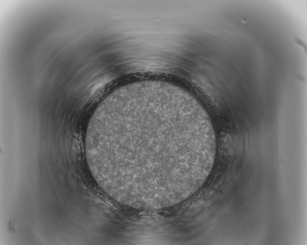 X0000095880918200801251137